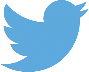 Twitter for photographers  logo blue