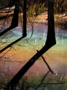 Spirit Stories Rainbow Tinted- Swamps 